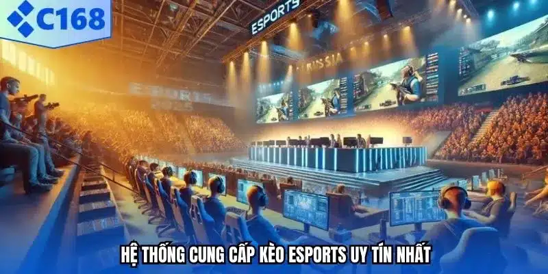 Hệ thống cung cấp kèo esports uy tín nhất